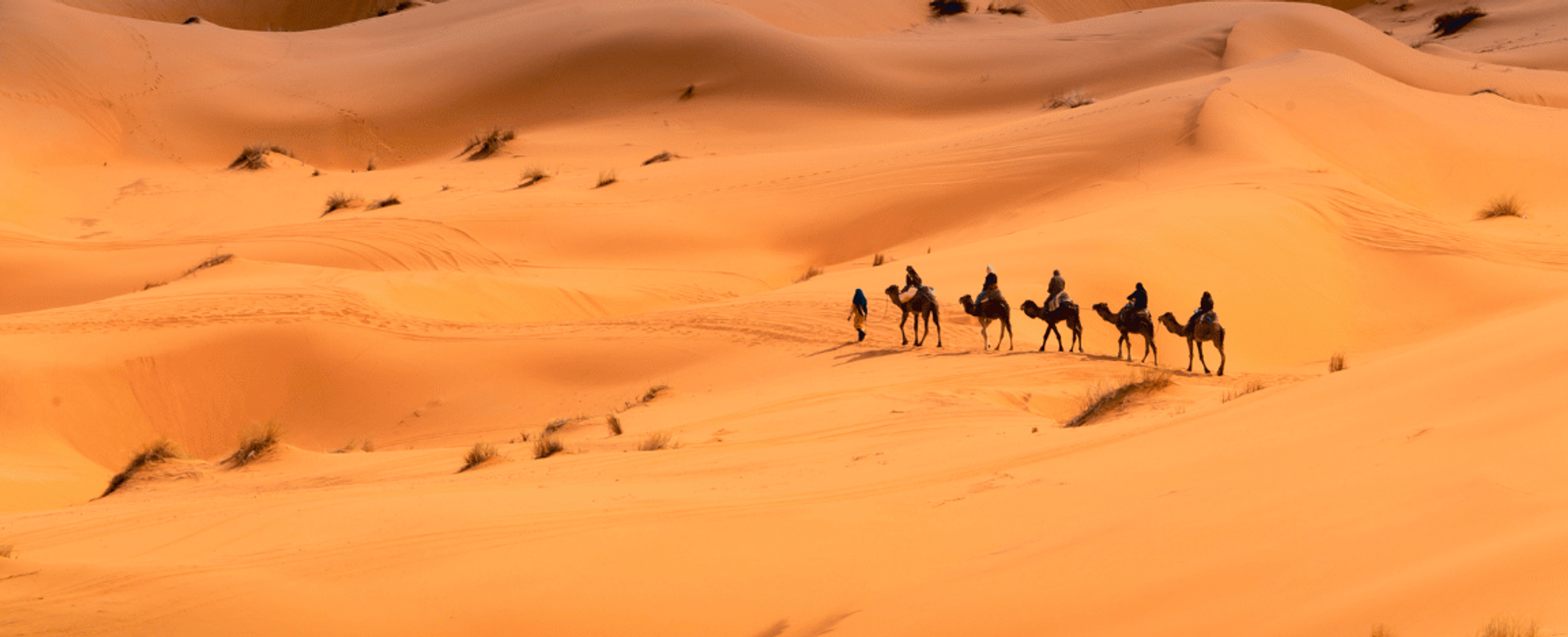 5 Days Private Tour from Agadir to Marrakech