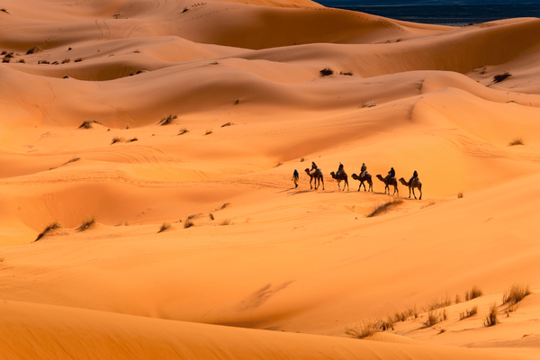 Merzouga Sahara Desert: Camel Trekking & Desert Camps Guide