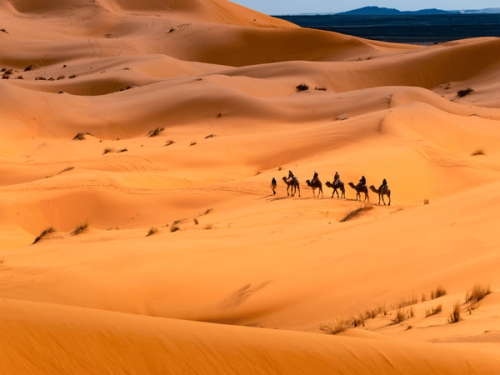 Merzouga Sahara Desert: Camel Trekking & Desert Camps Guide