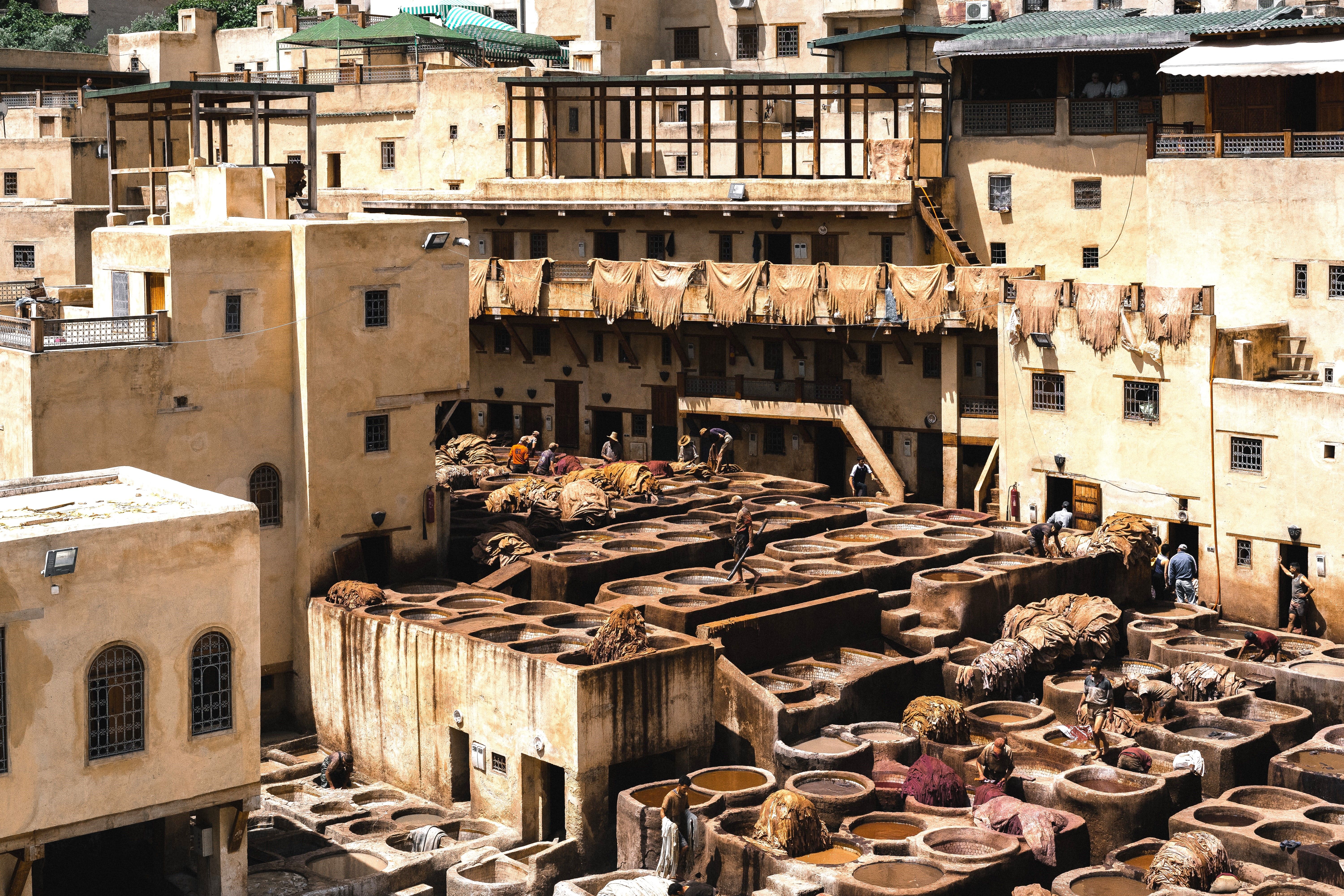Tours From Fes - Fez
