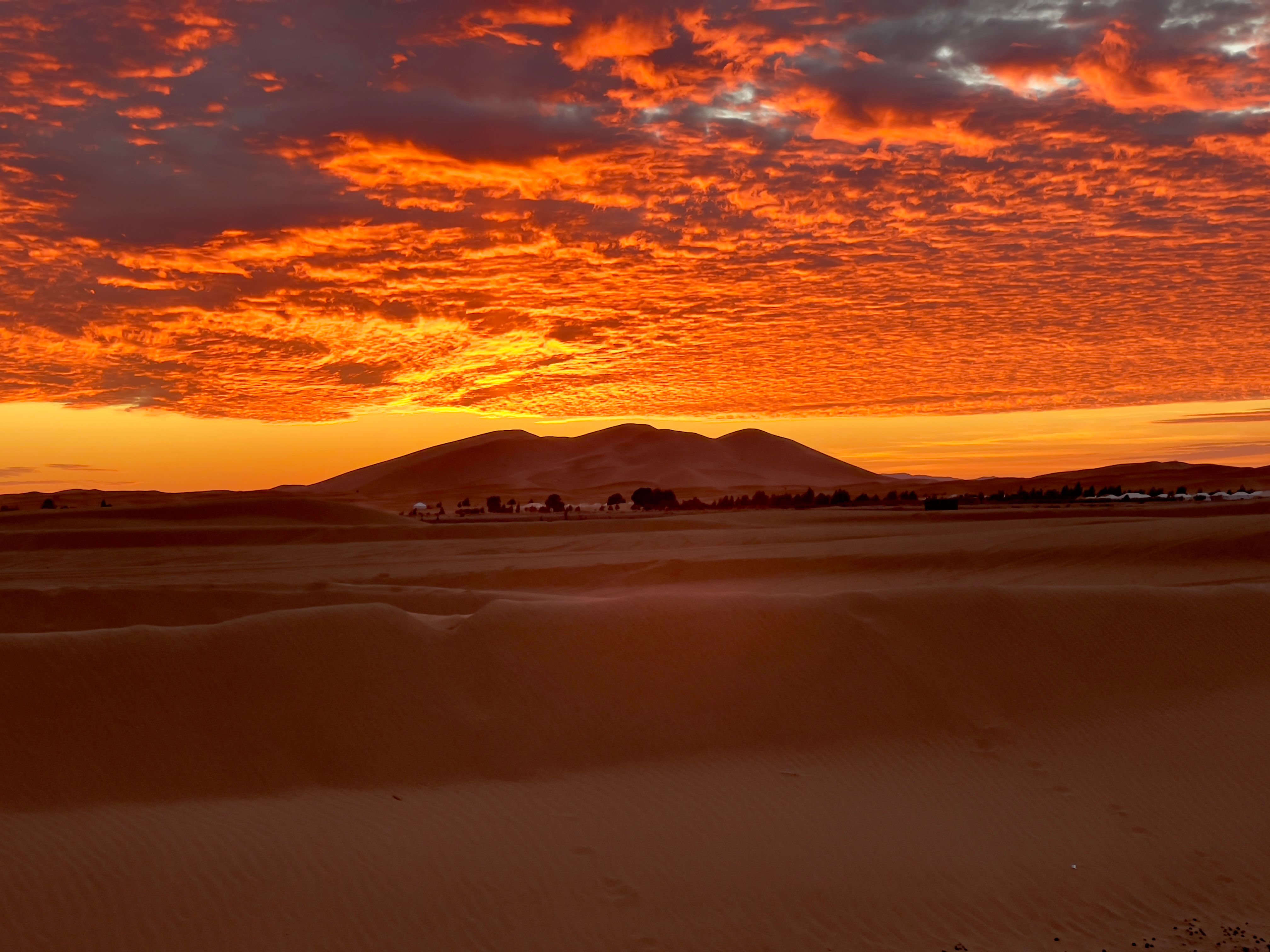 Best Time to Visit Morocco: A Month-by-Month Guide