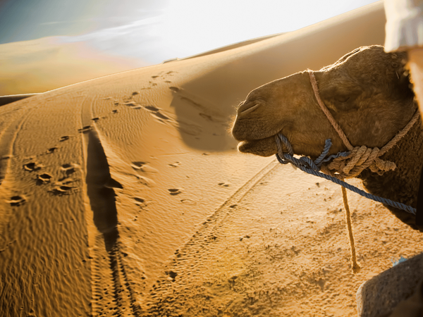 4 Days Morocco Desert Tour from Marrakech