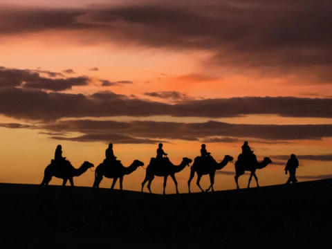 Best of Morocco - 8 Days Private Tour from Marrakech