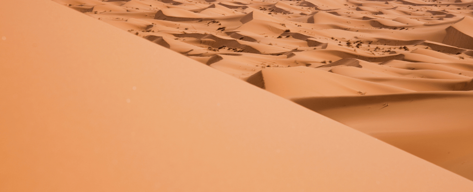 5 Days Private tour from Agadir to Fes via the Desert