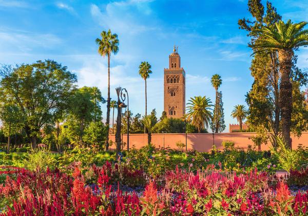12 Days Tour from Marrakech