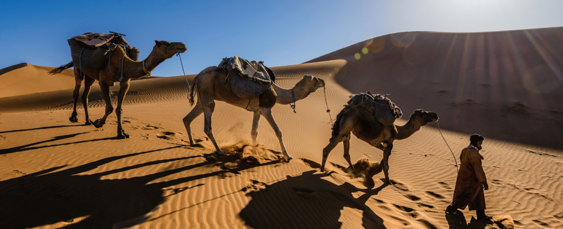 Marrakech Express 6 Days Tour from Tangier