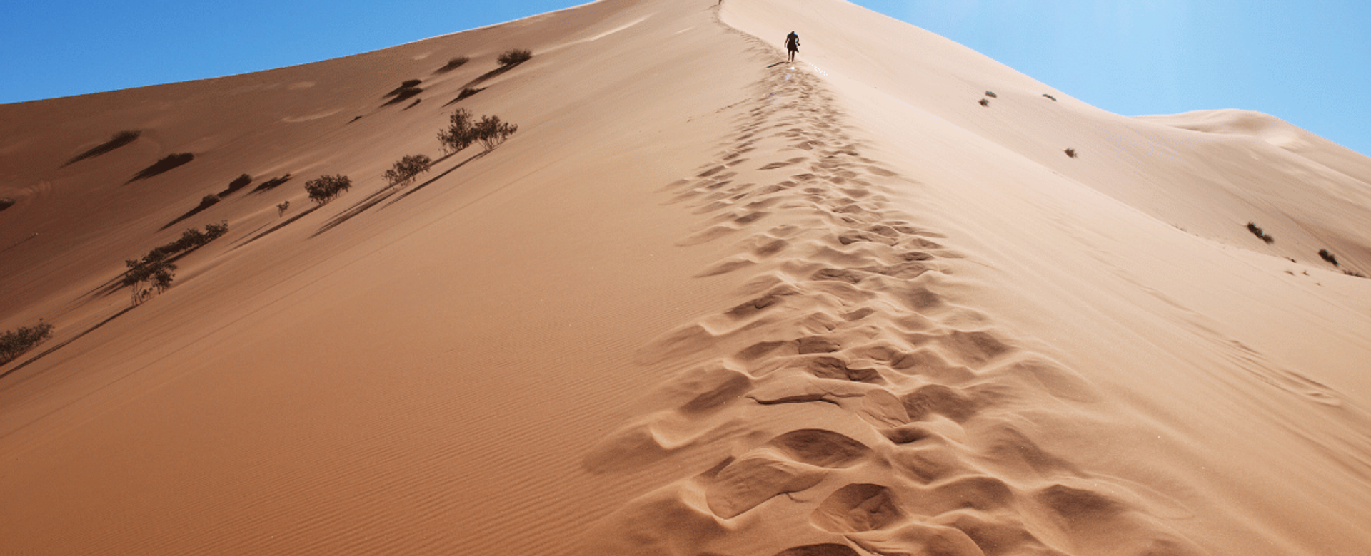 5 Days Desert Tour from Essaouira to Fes