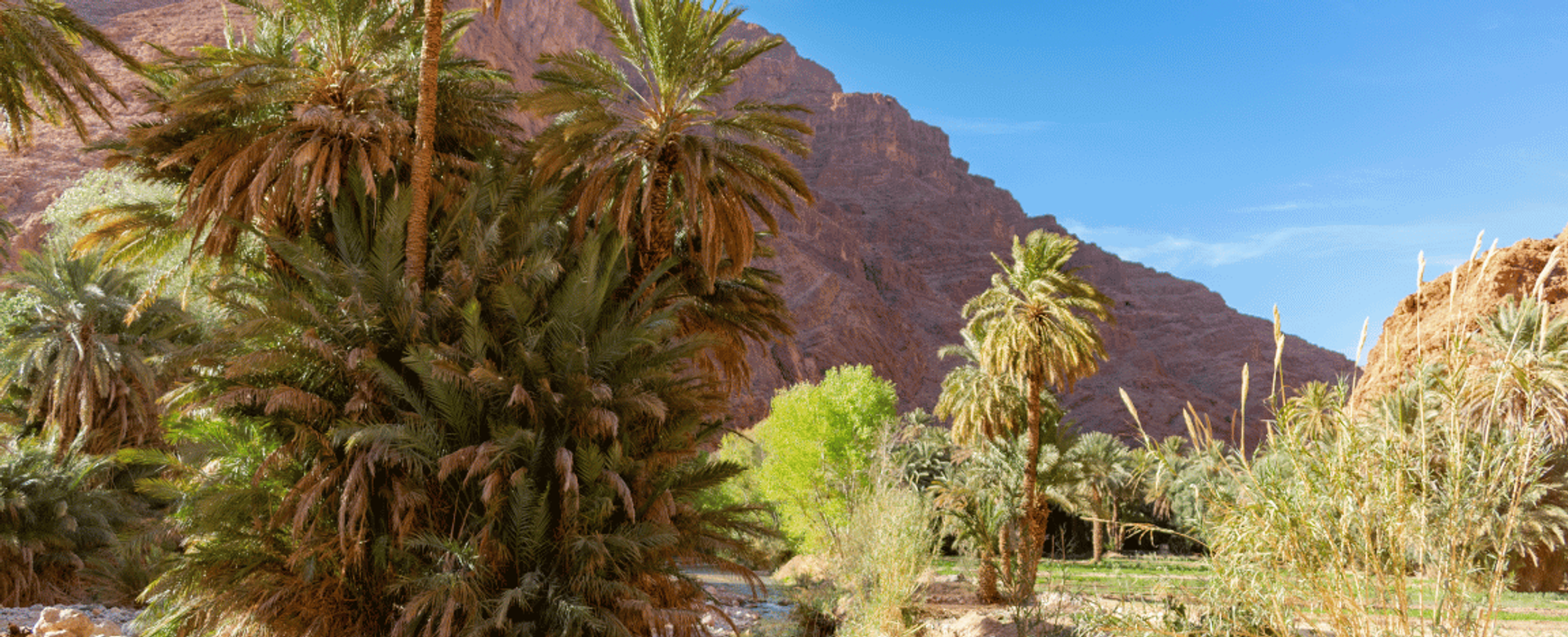 10 Days Tour from Casablanca - Imperial Cities & Desert