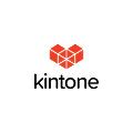 Kintone (Lite)