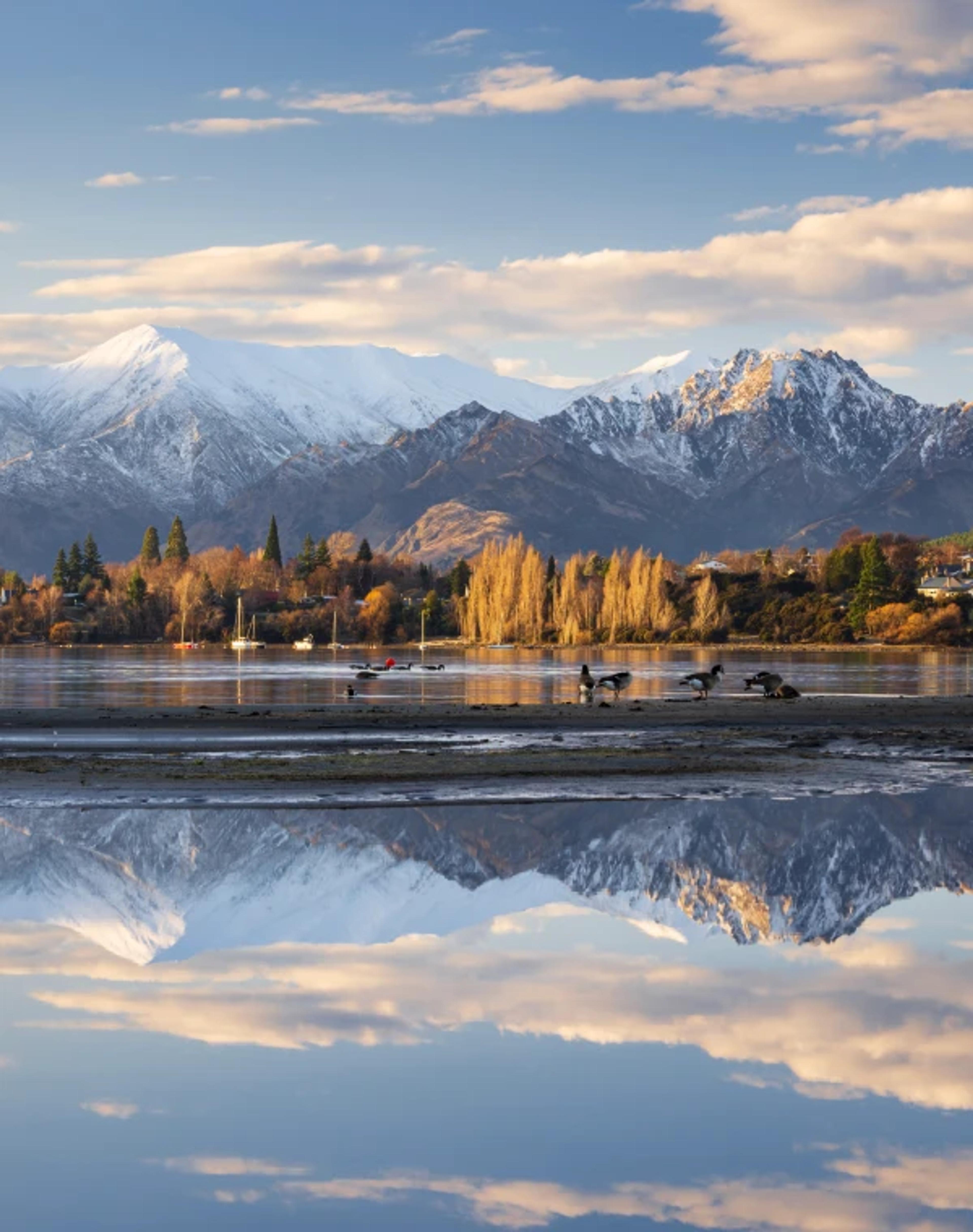 New Zealand