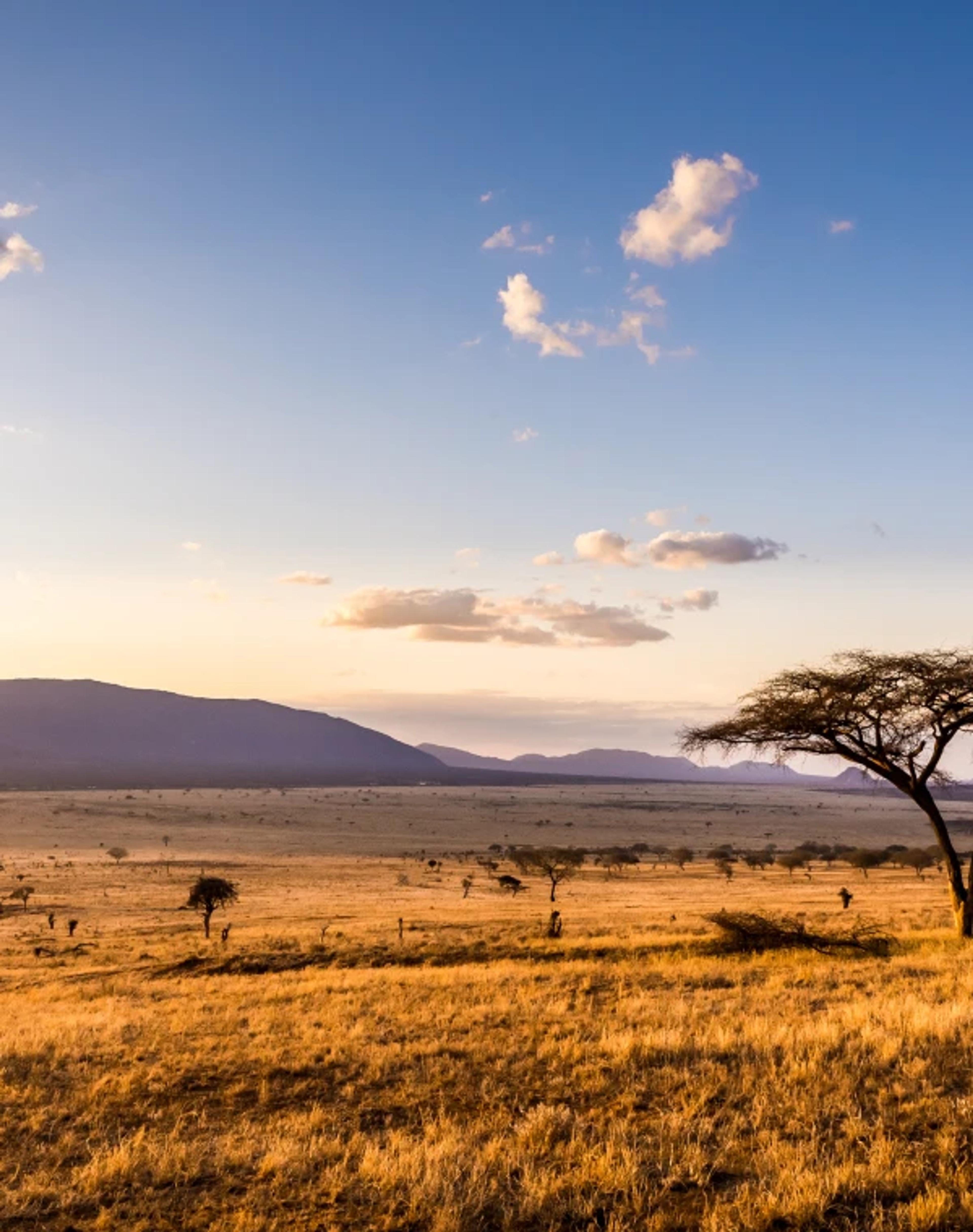 Kenya