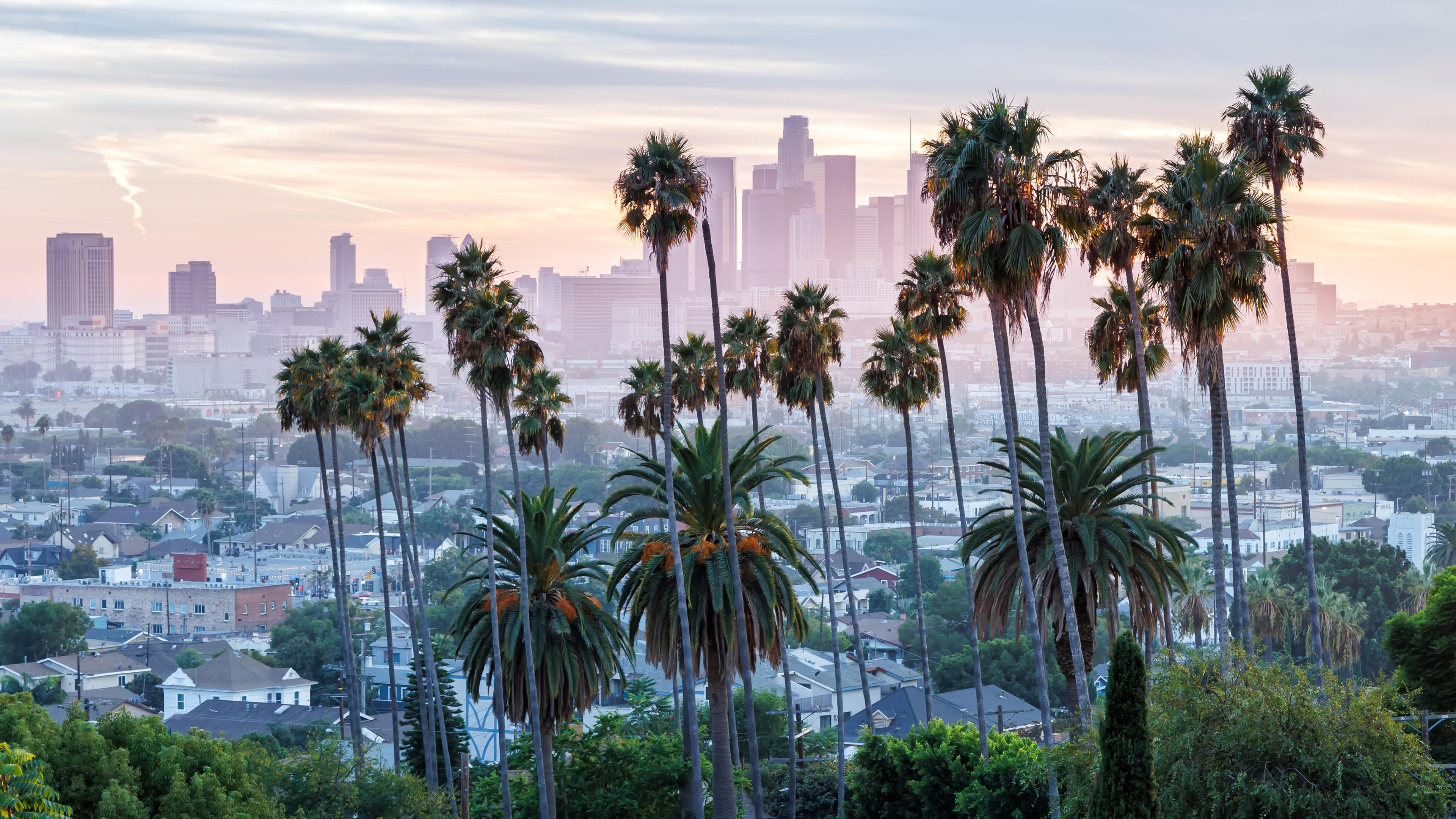 View of Downtown Los Angeles, partially obscured by palm trees