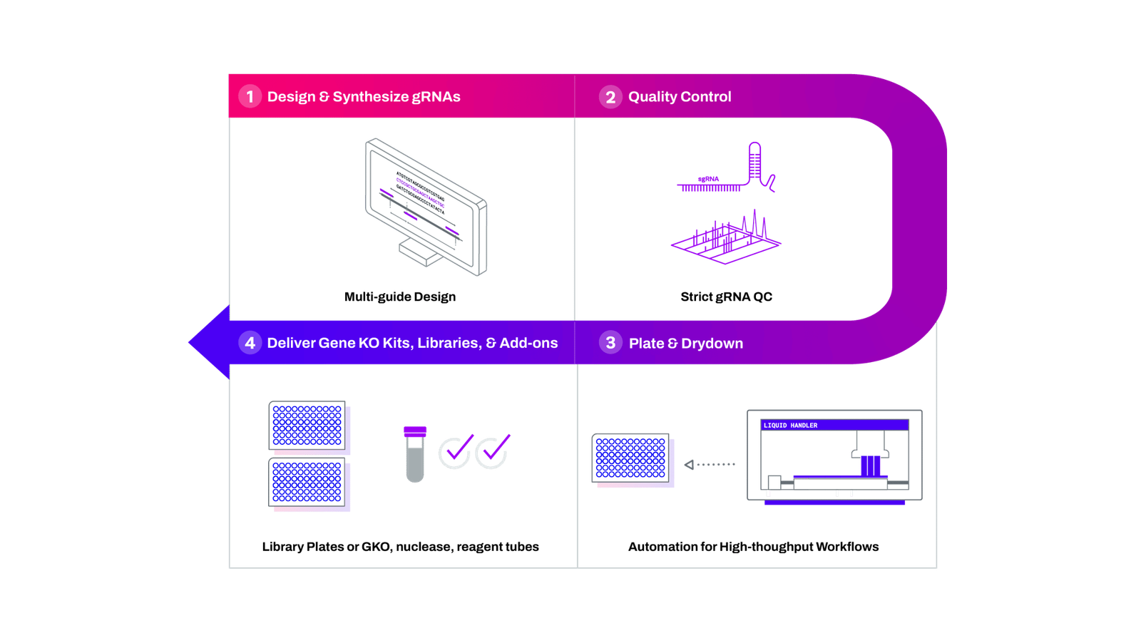 EditCo's four-step CRISPR product process: design and synthesise guides, quality control, plate and drydown, then deliver kits, libraries and add-ons