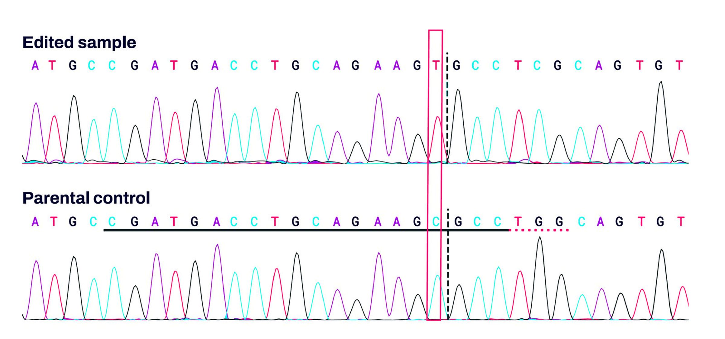 100% SNV editing in iPS cell clones