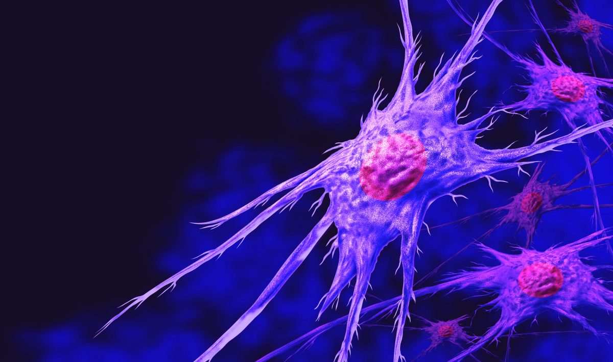 CRISPR-Edited Fibroblasts: Applications in Disease Modeling, Cancer Research, and Drug Discovery