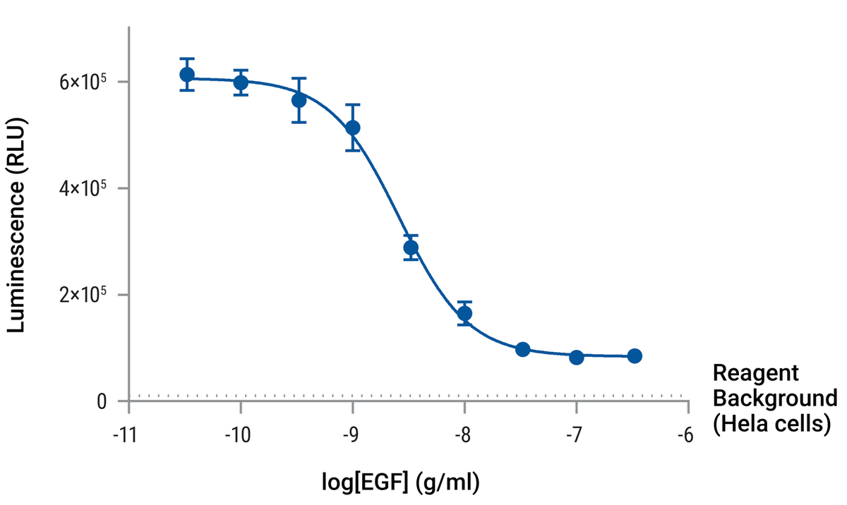 Quantification of endogenous membrane receptor internalization