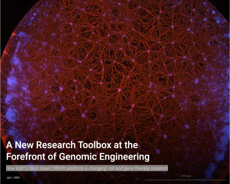 Article “A New Research Toolbox at the Forefront of Genomic Engineering: how EditCo Bio's novel CRISPR platform is changing cell and gene therapy research”, over a micrograph of a neuronal network