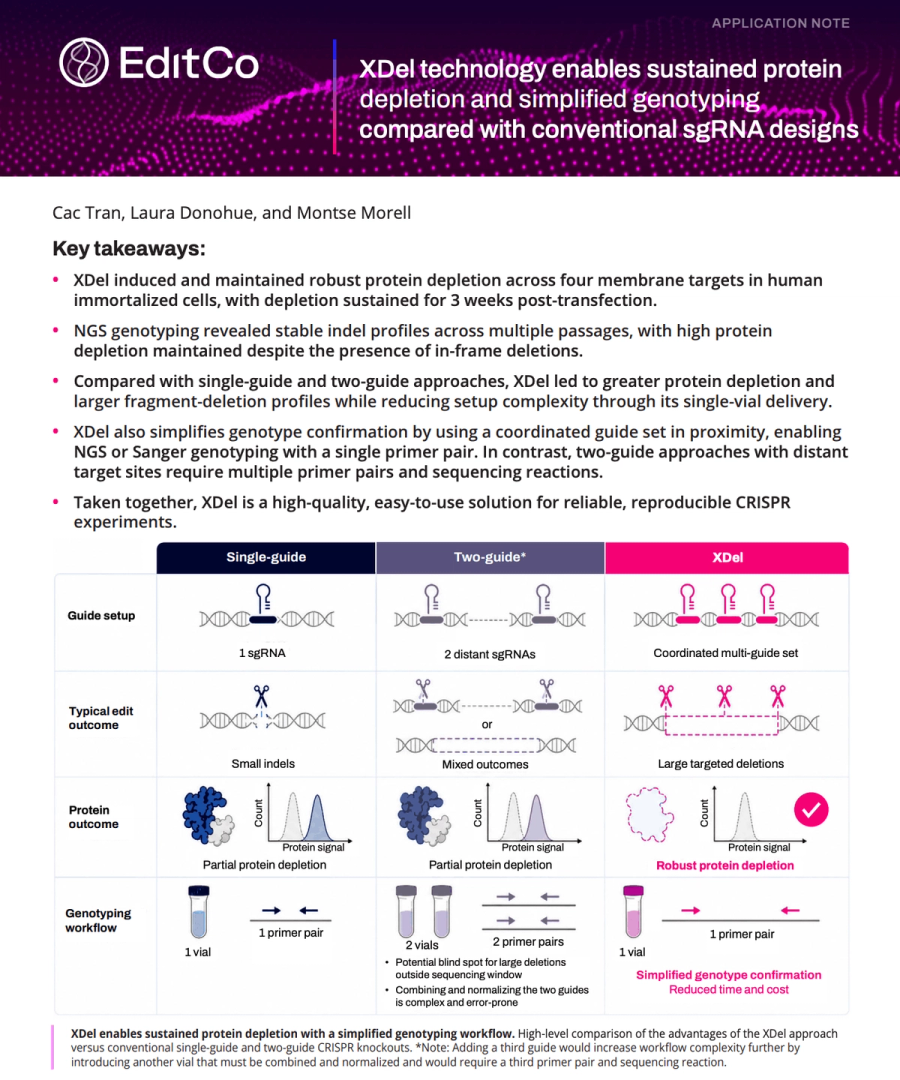 XDel Technology Enables Sustained Protein Depletion and Simplified Genotyping Compared with Conventional CRISPR Guide Designs