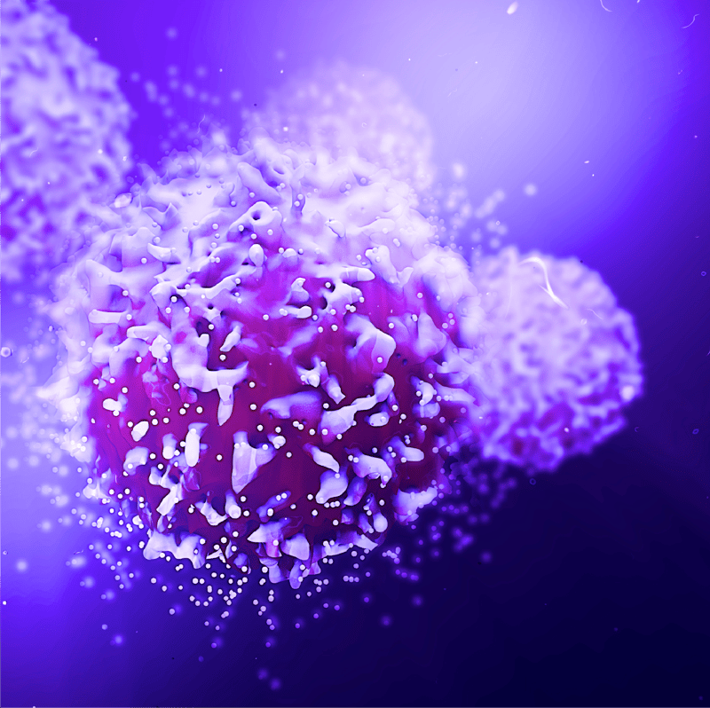 Engineered human T cells