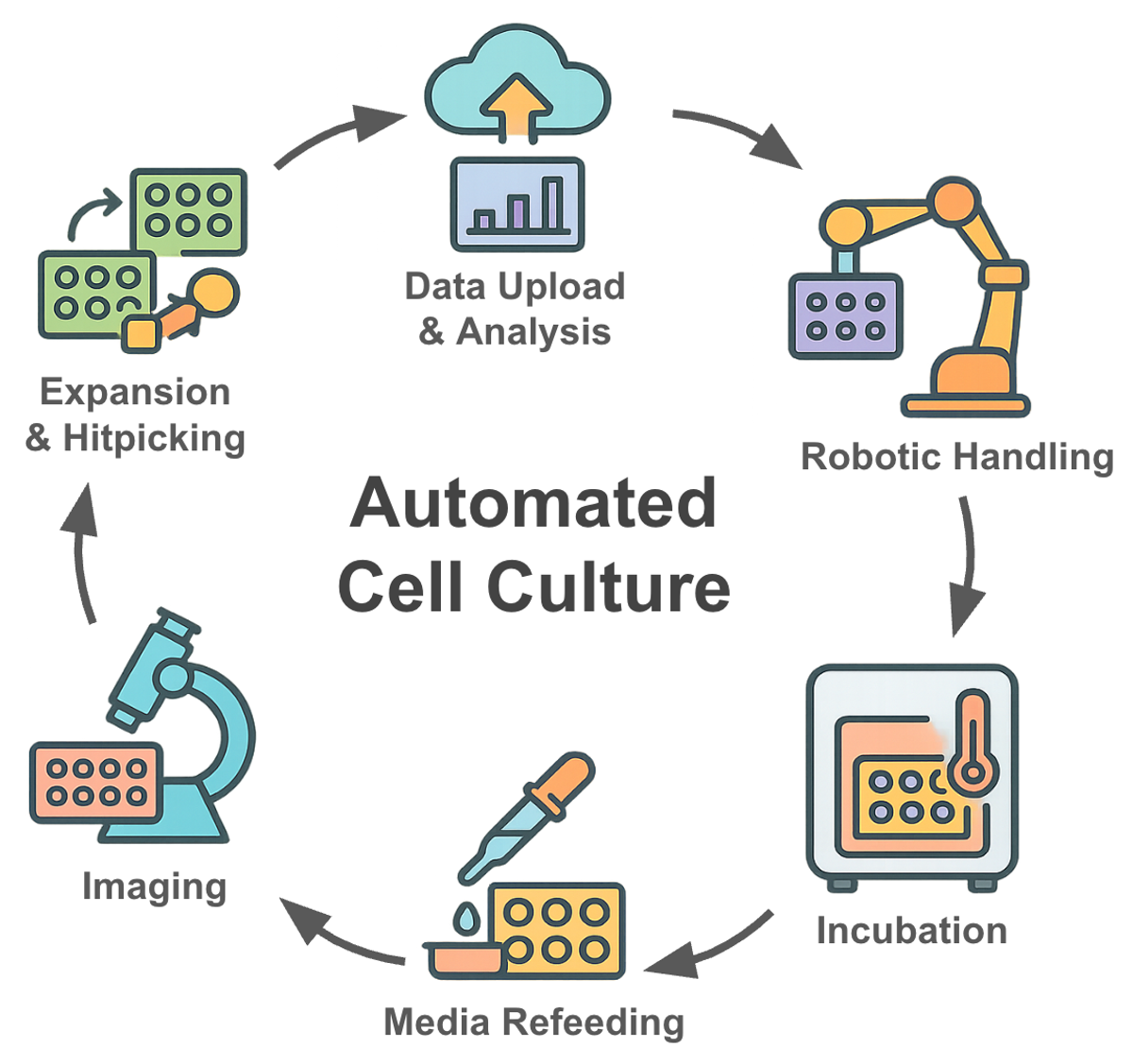 Components of automated cell culture