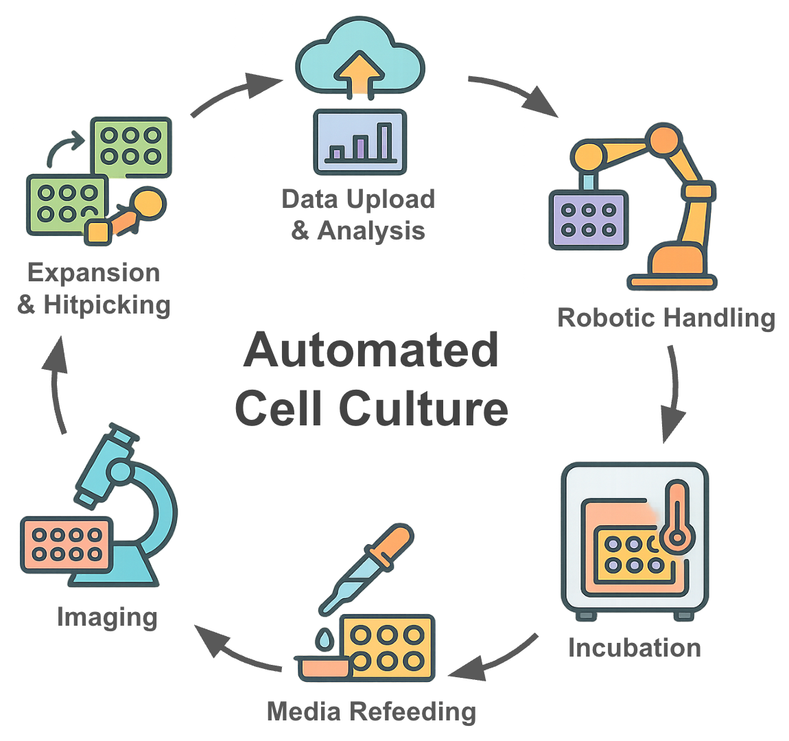Components of automated cell culture