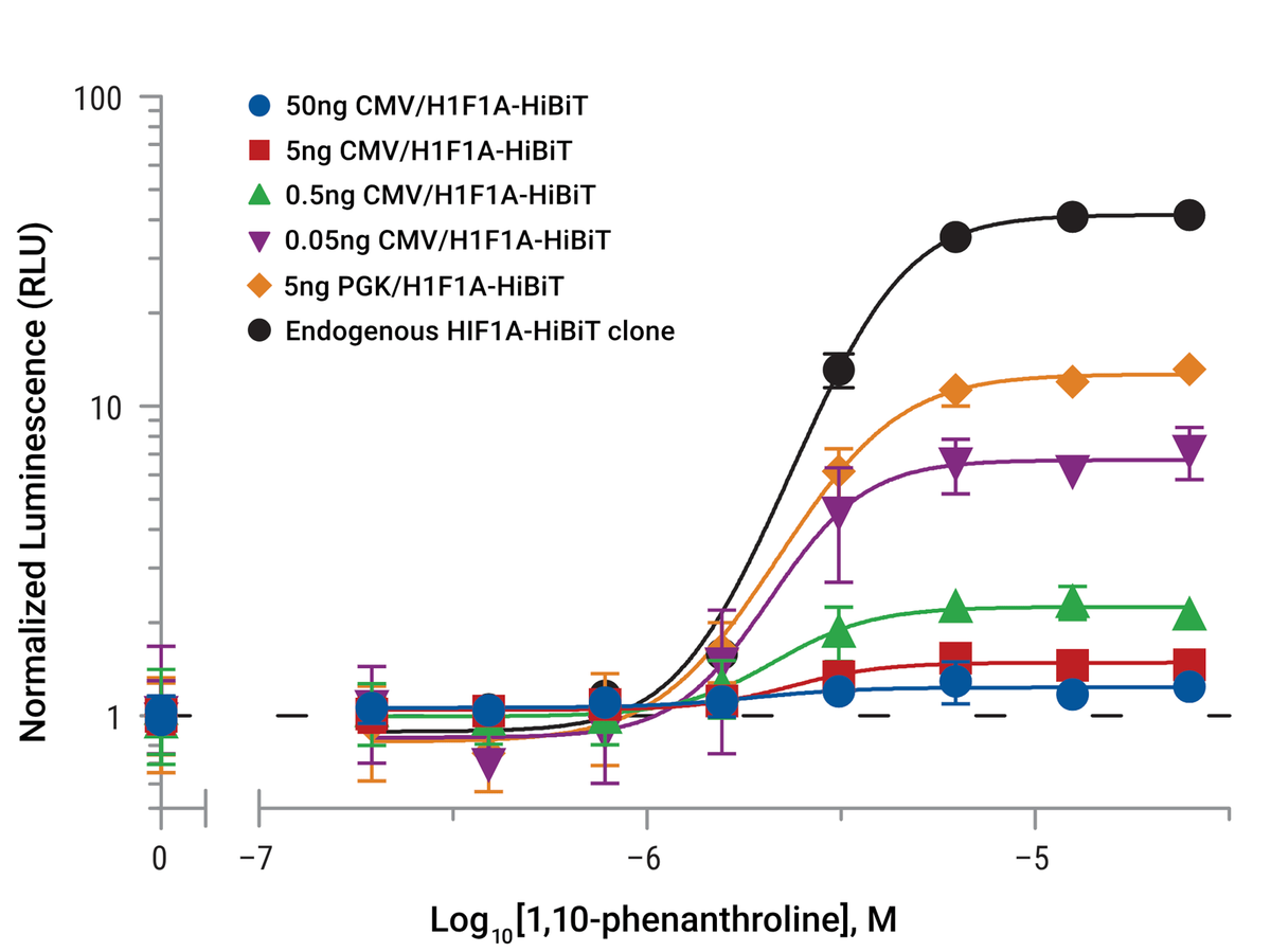 Endogenous HIF1A abundance assay window