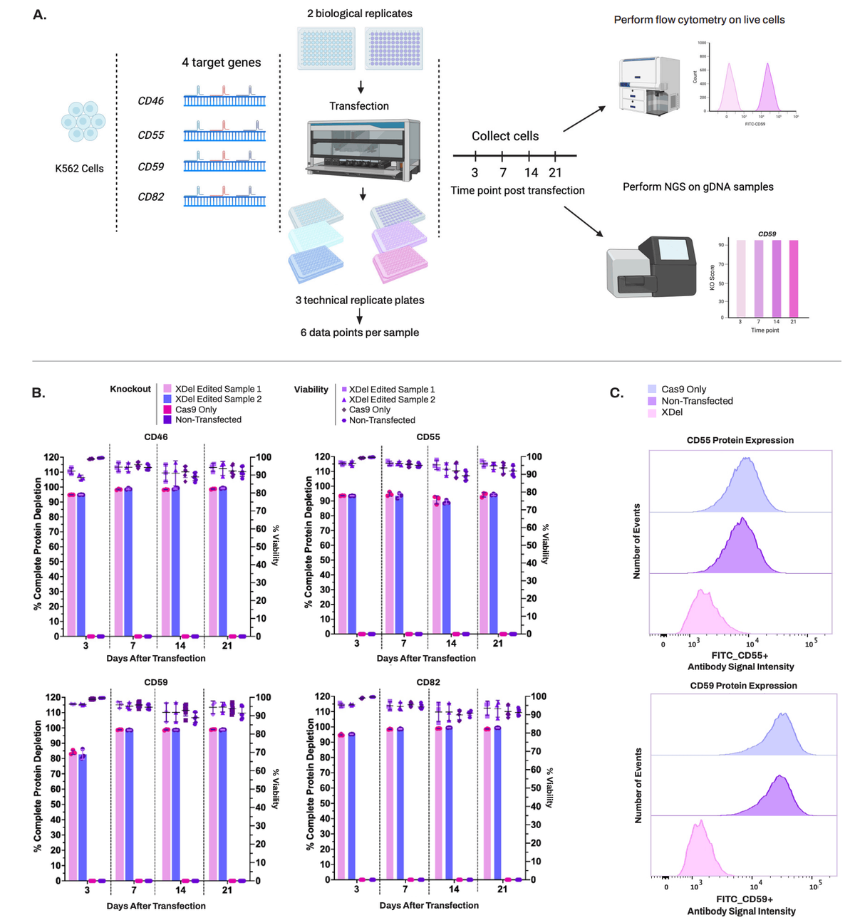 Time-course flow cytometry analysis of membrane protein knockout