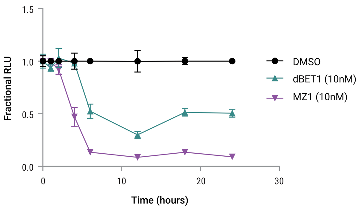 Monitoring cMyc levels following degradation of upstream regulatory proteins