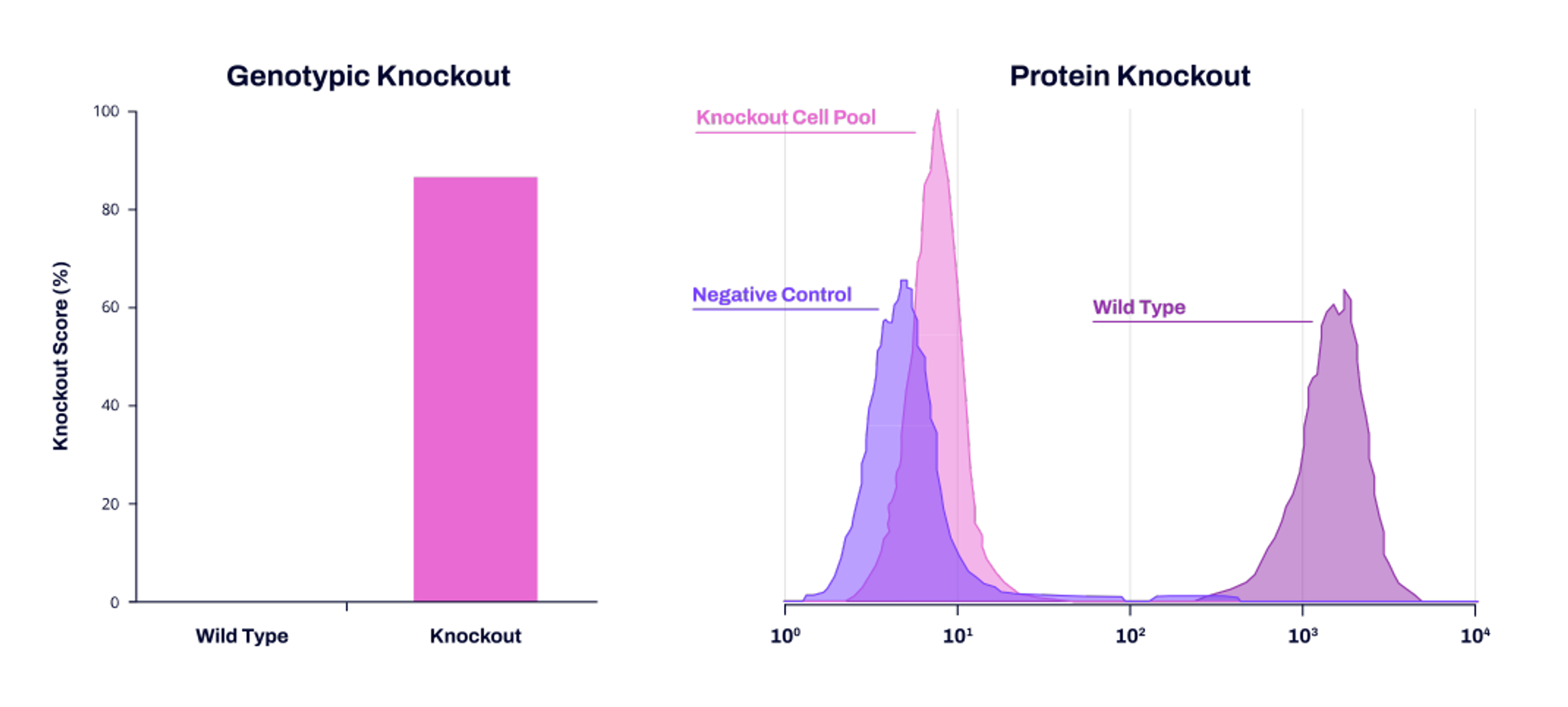 95% protein knockout without clonal expansion