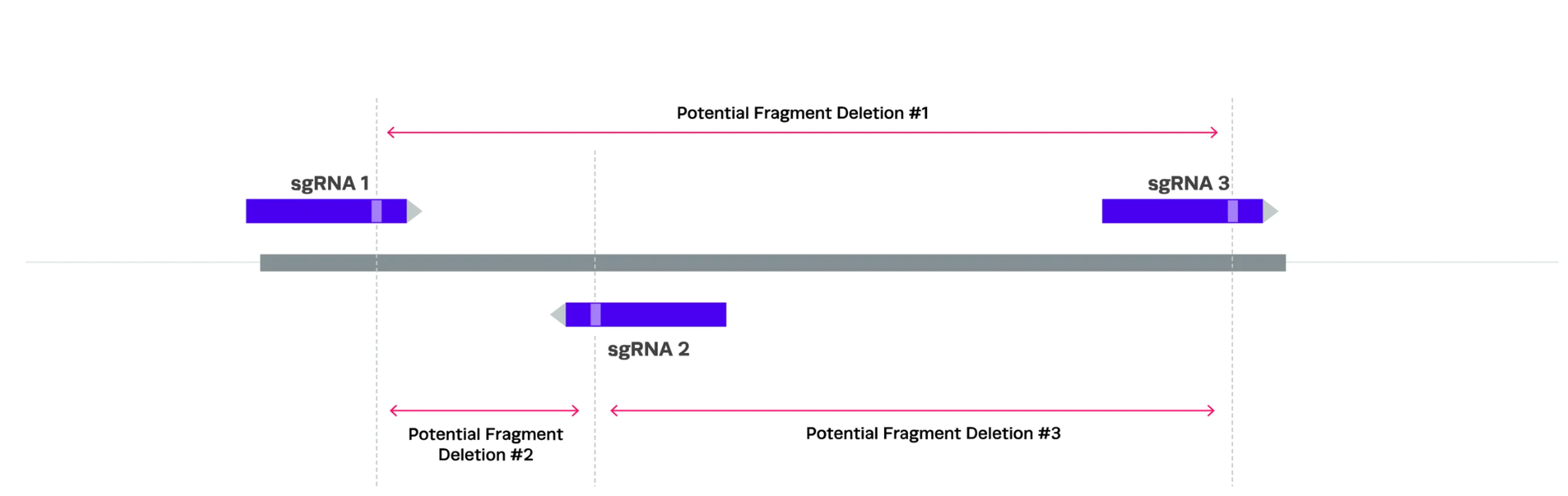 XDel multi-guide design schematic