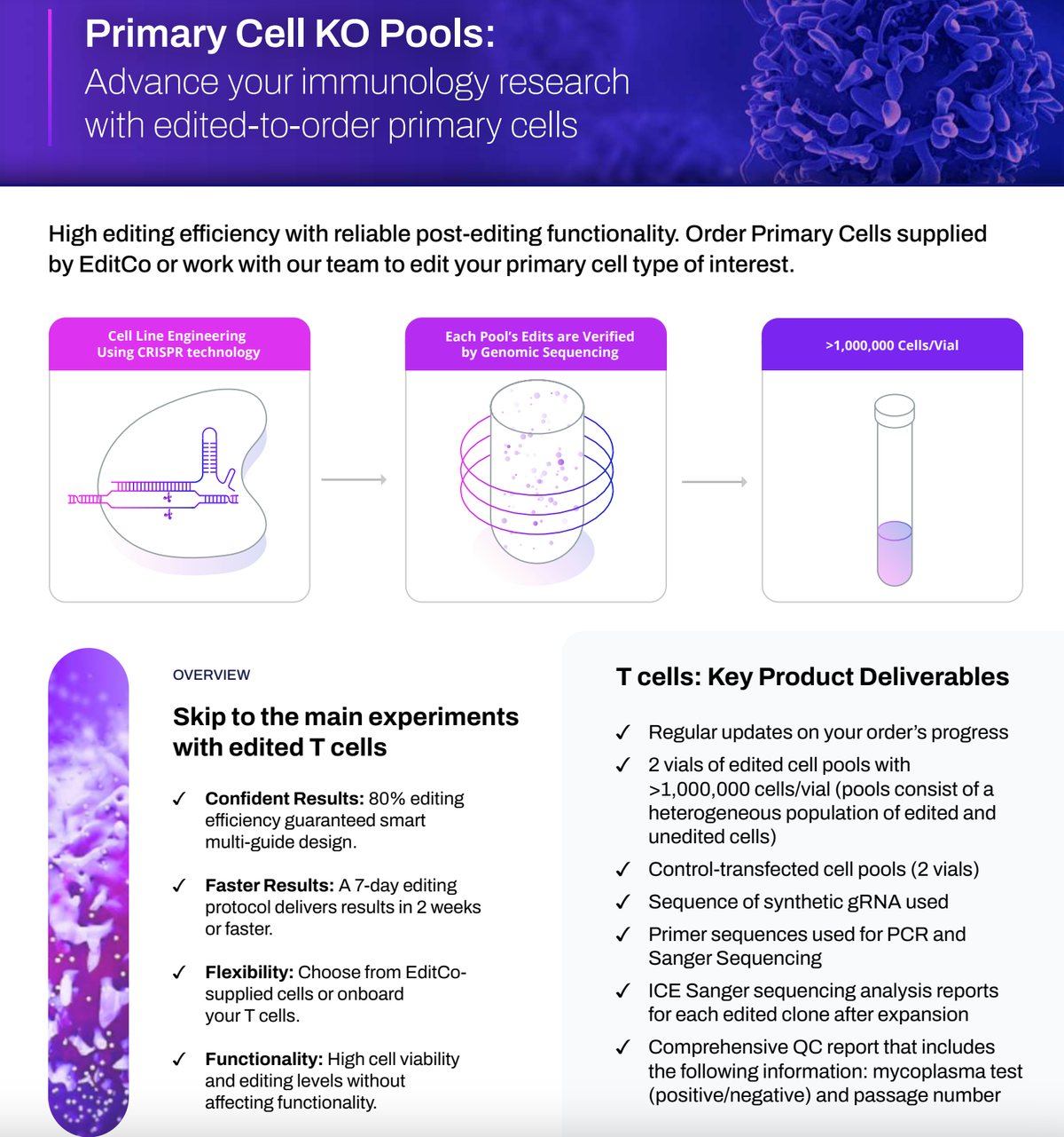 T Cell KO Pools: Advance your immunology research with edited-to-order primary cells