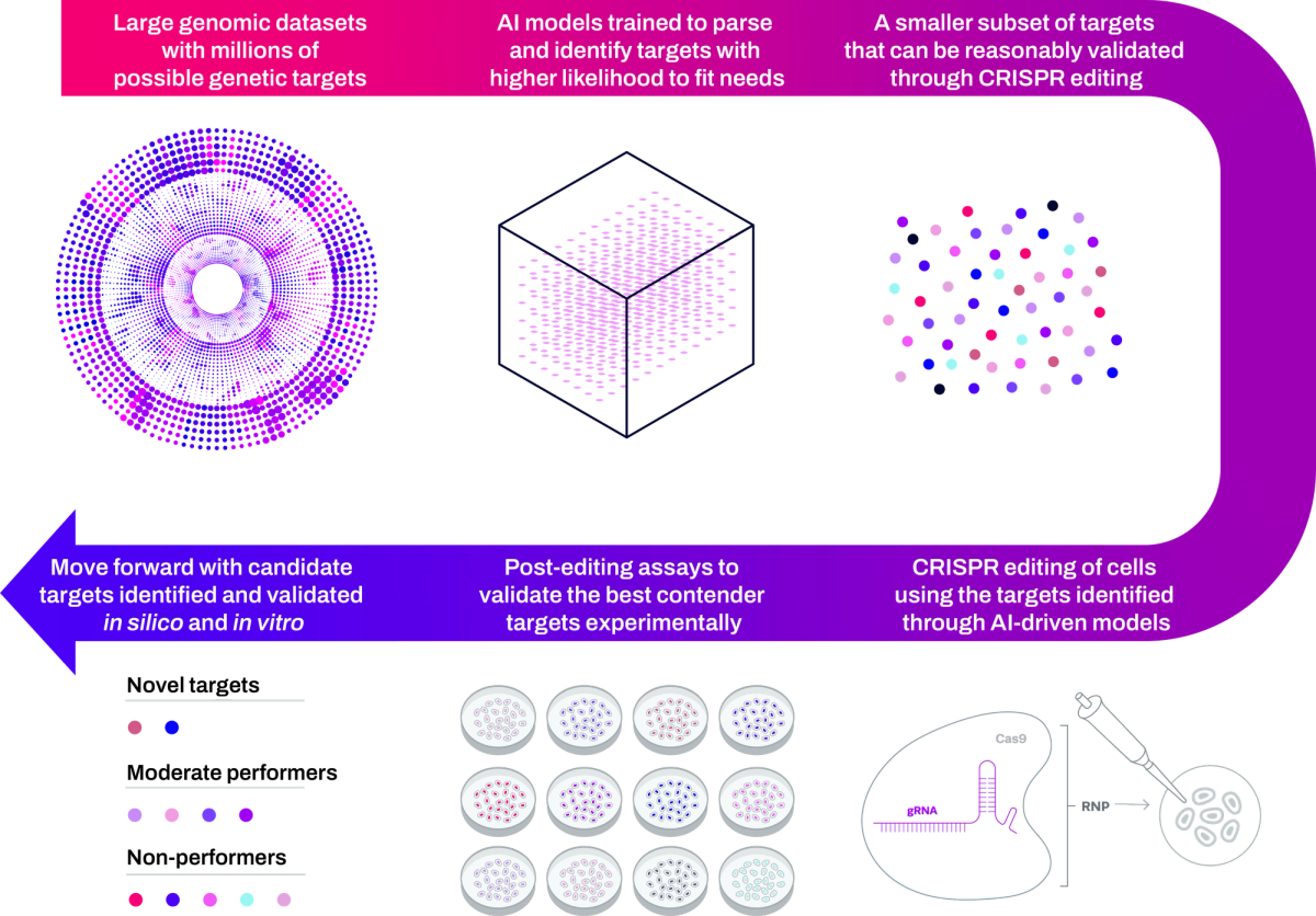 AI_CRISPR_workflow-1