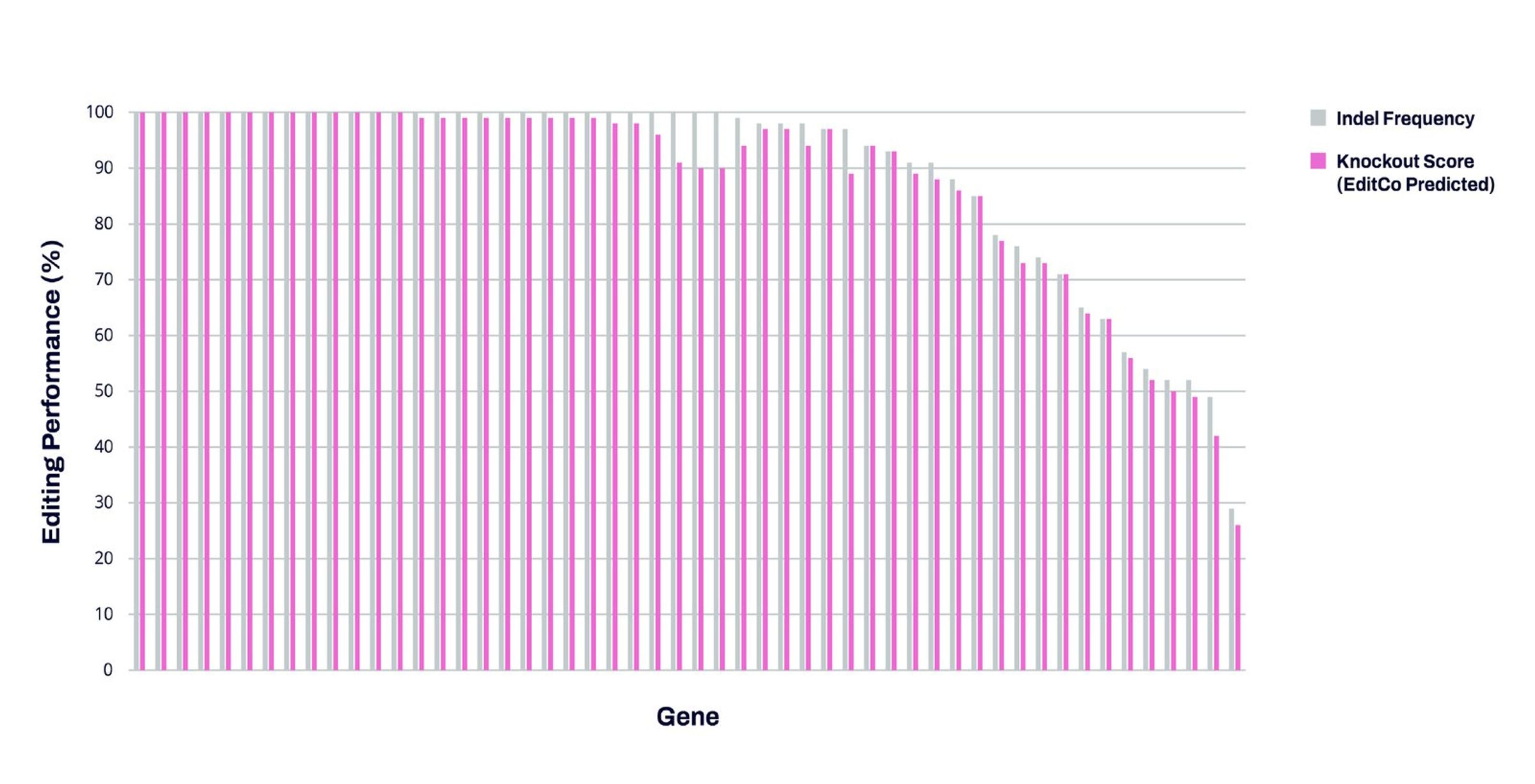 Knockout library editing results in a human immortalized cell line