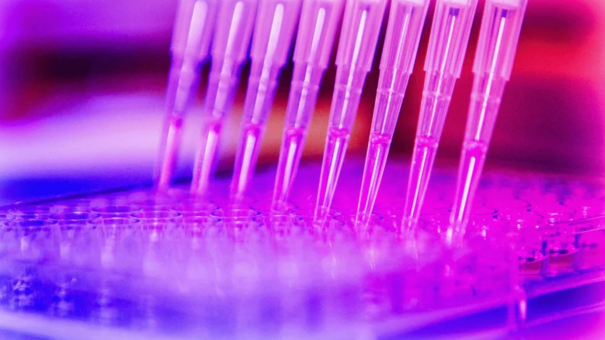 Single Guide vs Two Guide vs XDel: Which CRISPR Knockout Strategy Is Right for Your Experiment?