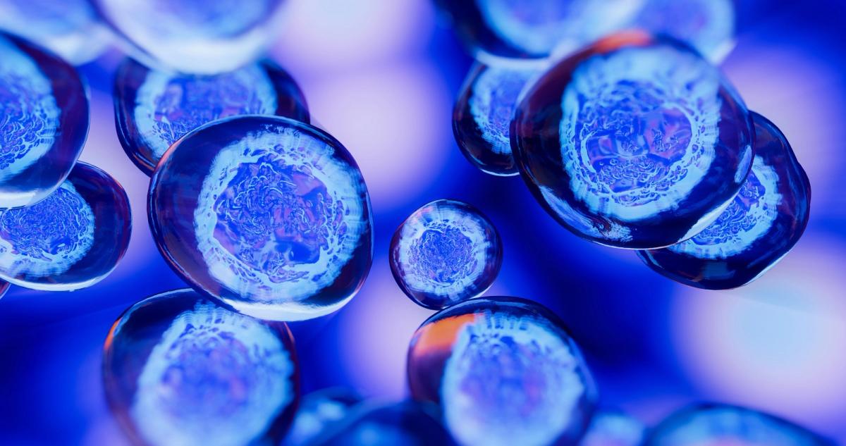 Illustration of stem cell lines.