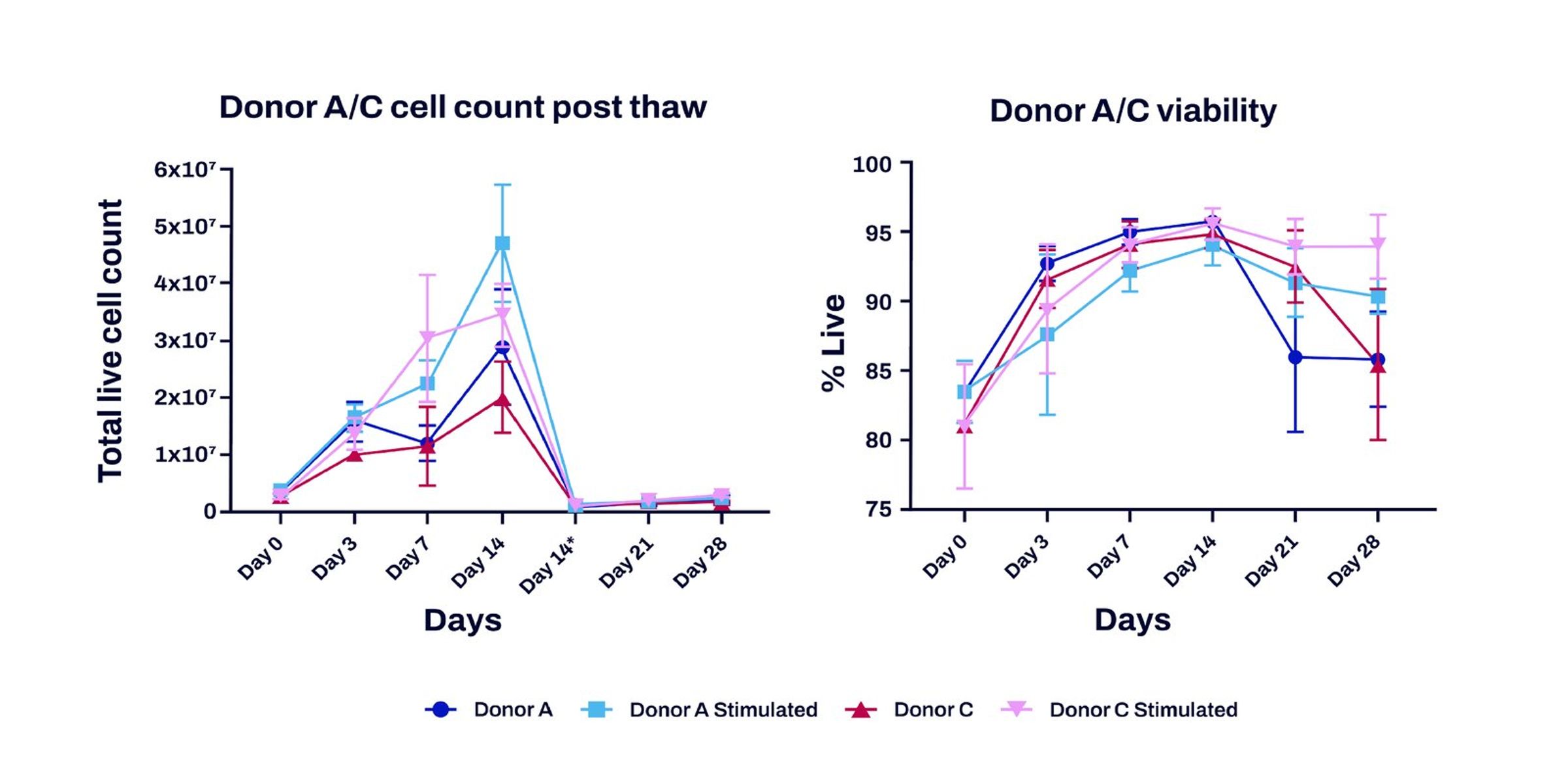 CD8 T cell viability and expansion