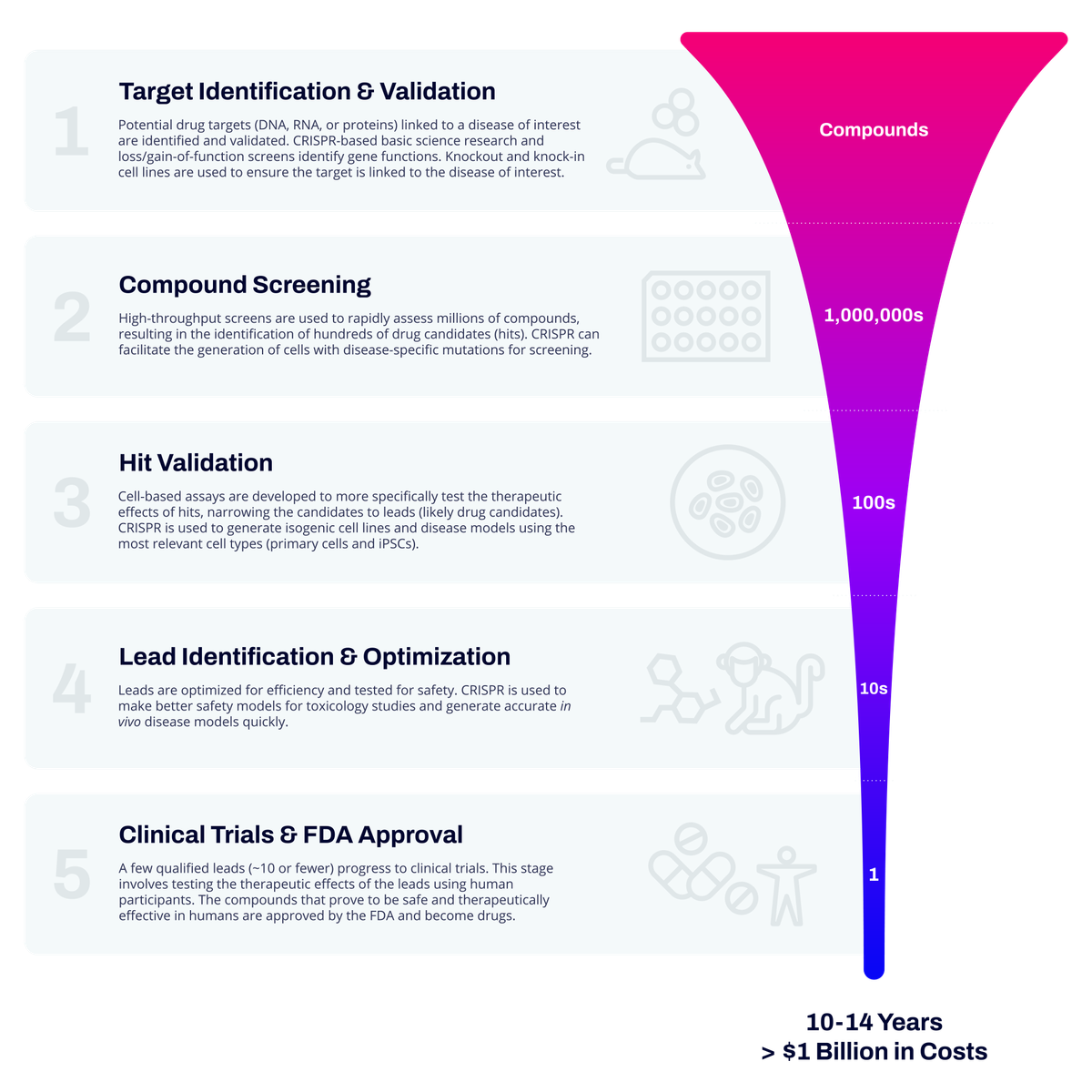 Drug target identification process from target identification to approval
