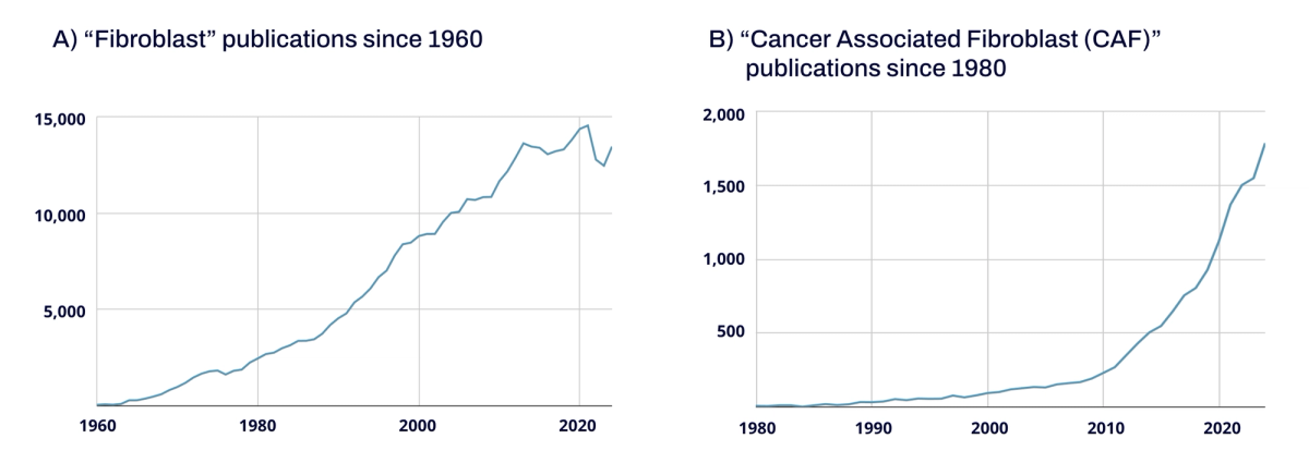 Two line charts of publication counts: papers on fibroblasts climbing from near zero in 1960 to about 13,000 a year, and papers on cancer-associated fibroblasts rising steeply after 2010 to nearly 1,800