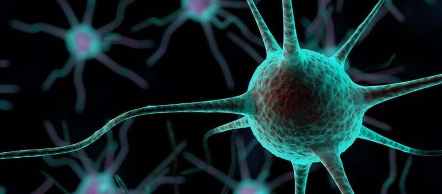 Viewpoints: The Evolution of CRISPR Technology