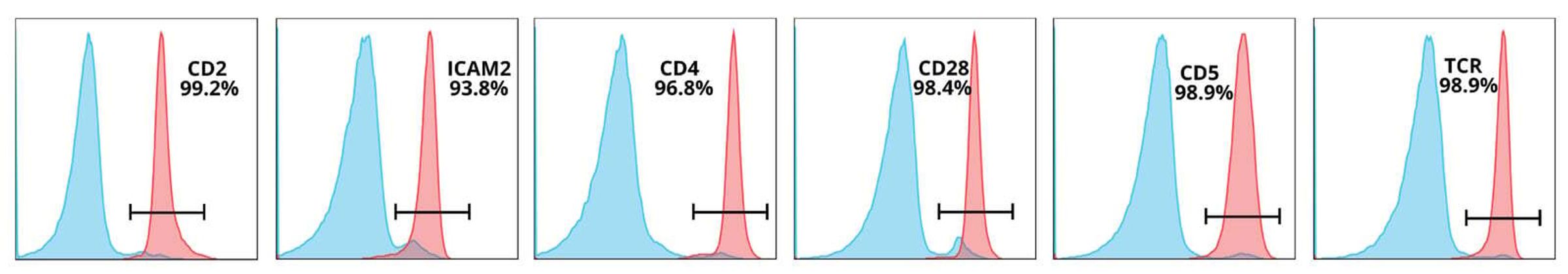 Editing efficiency leads to protein depletion by flow cytometry