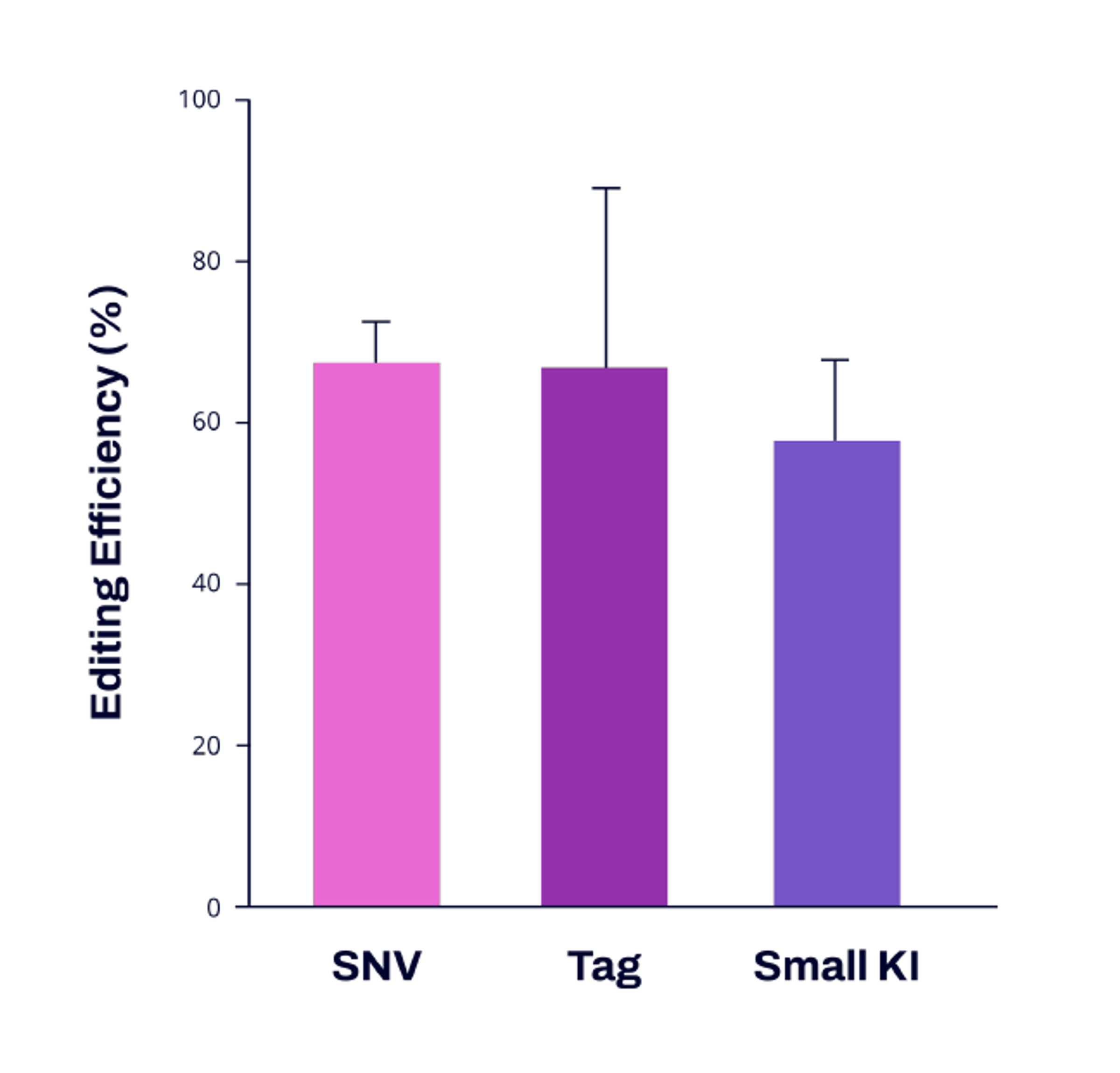 Average knock-in editing efficiency by knock-in type