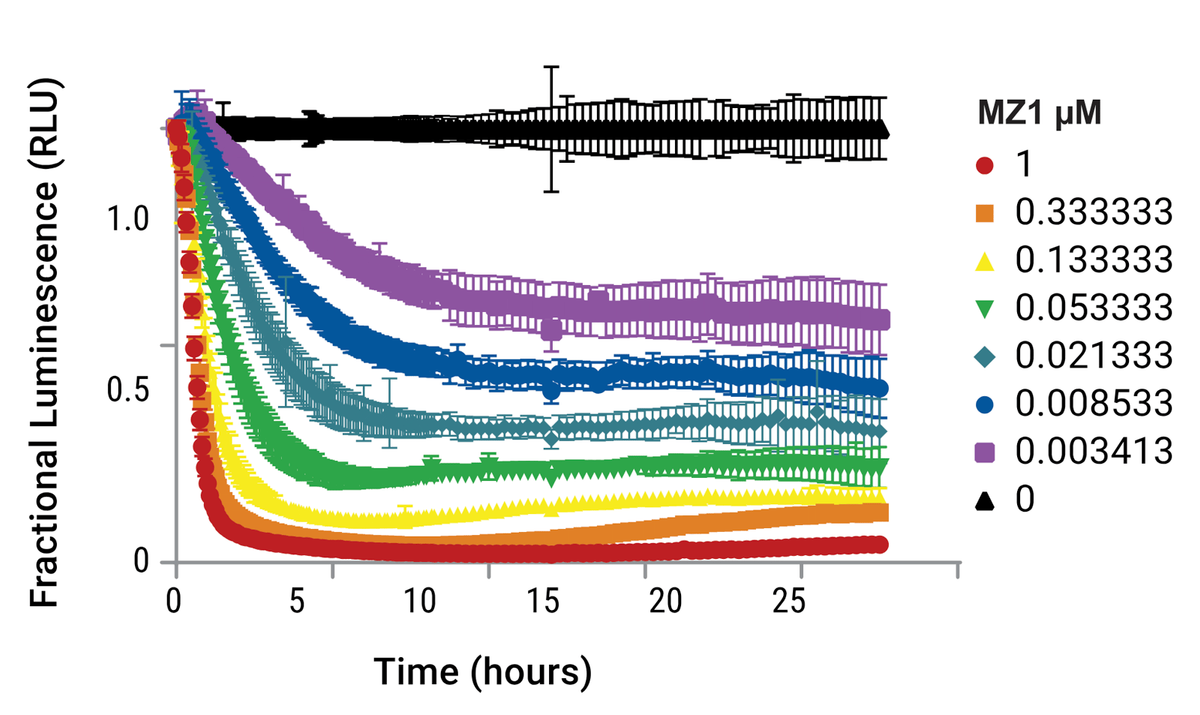 Degradation kinetics of endogenous HiBiT-BRD4 following PROTAC treatment