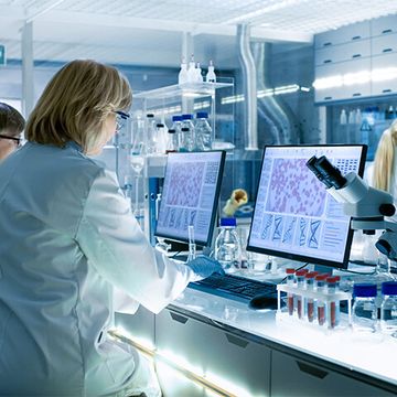 Scientists working together on a computer
