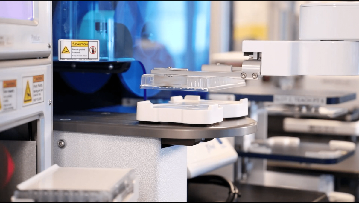 Scaling Cell Culture with Argo Automation: How EditCo Delivers High-Throughput Precision