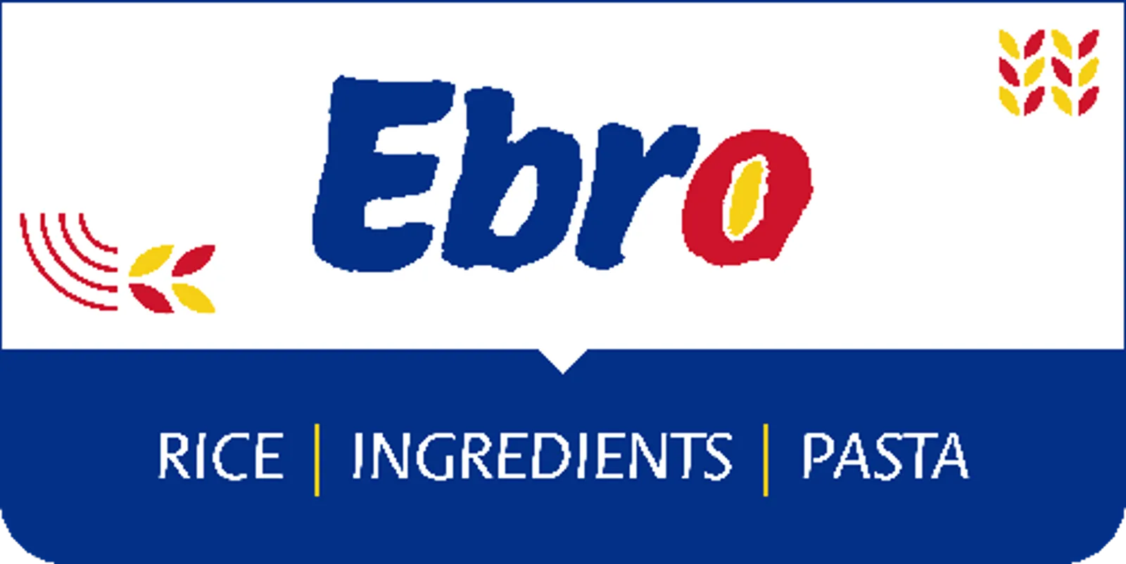 Ebro logo