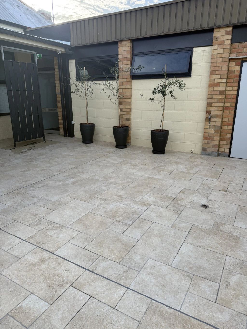 The refurbished shared courtyard at 210 Auburn Street, newly paved and planted