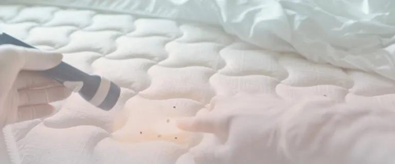 Integrating Chemical Treatment with Integrated Pest Management (IPM)