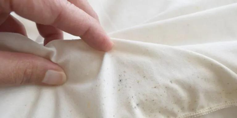 How Does Our Heat Treatment Completely Eradicate Bed Bugs?