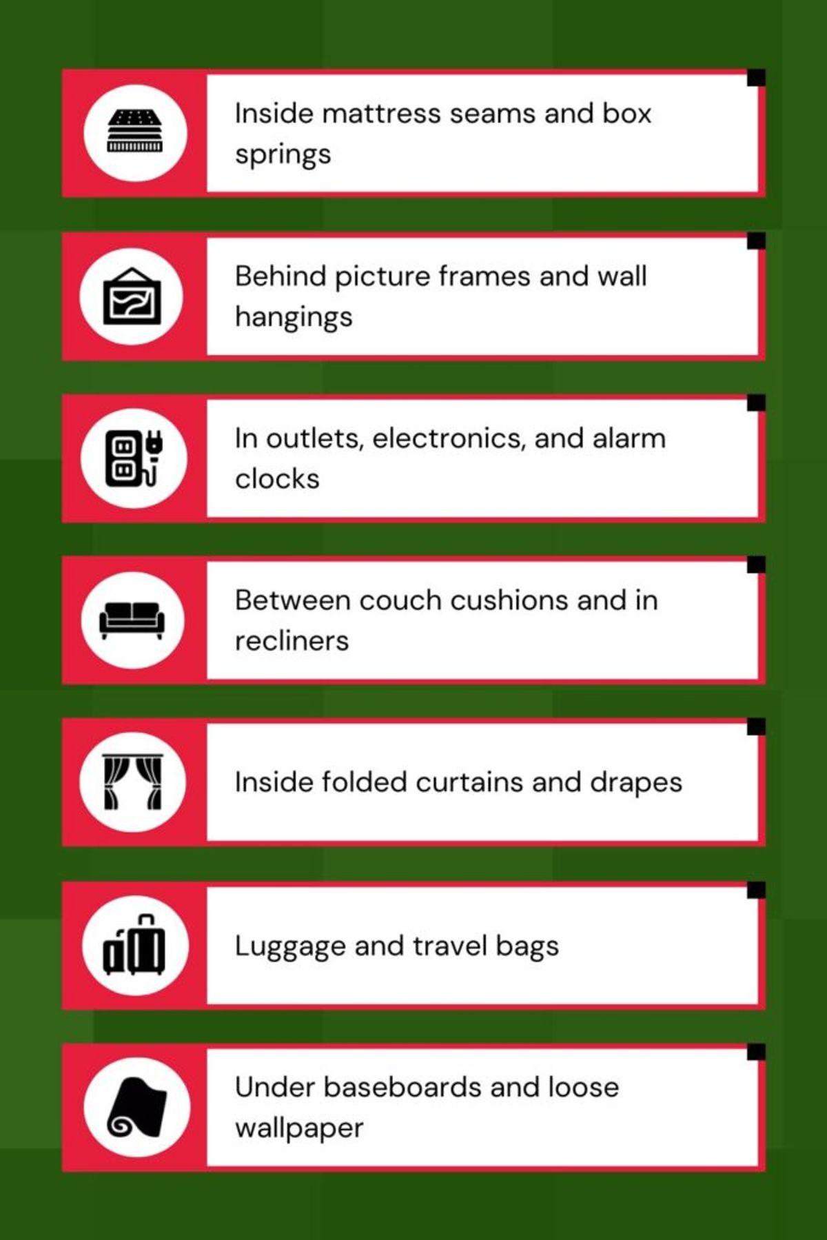 Bed Bug Hiding Places