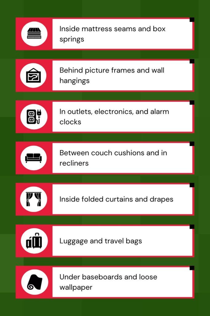 Bed Bug Hiding Places